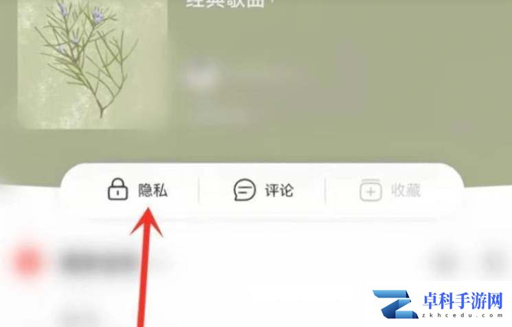 网易云音乐把单个歌单变成私密怎么弄