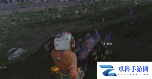 游侠网5