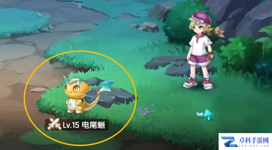 西普大陆【萌新入门指南】精灵捕捉教学